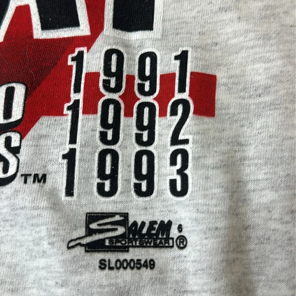 Vintage 1993 NWOT Chicago Bulls Champions Tee, Heathered Gray Made in USA Salem - Picture 6 of 12